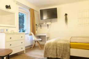 Gemütliche sanierte 1 Zimmer Wohnung mit privatem Parkplatz im Zentrum in Kiel